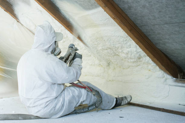 Types of Insulation We Offer in Oreana, IL