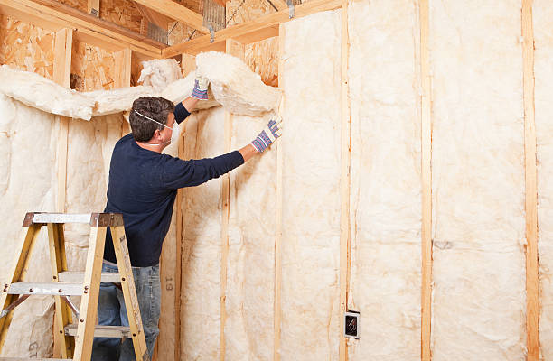 Professional Insulation Services in Oreana, IL